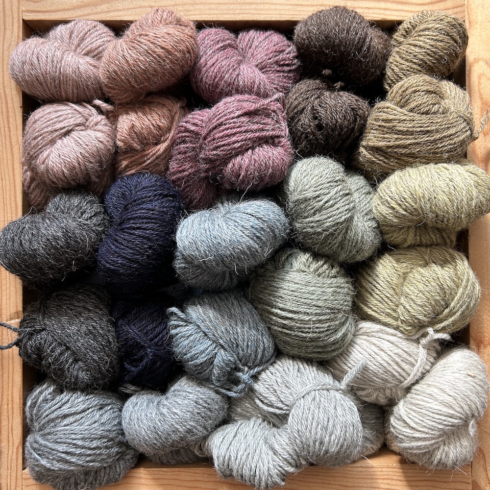 SheepSoft DK by Laxtons - Wild and Woolly